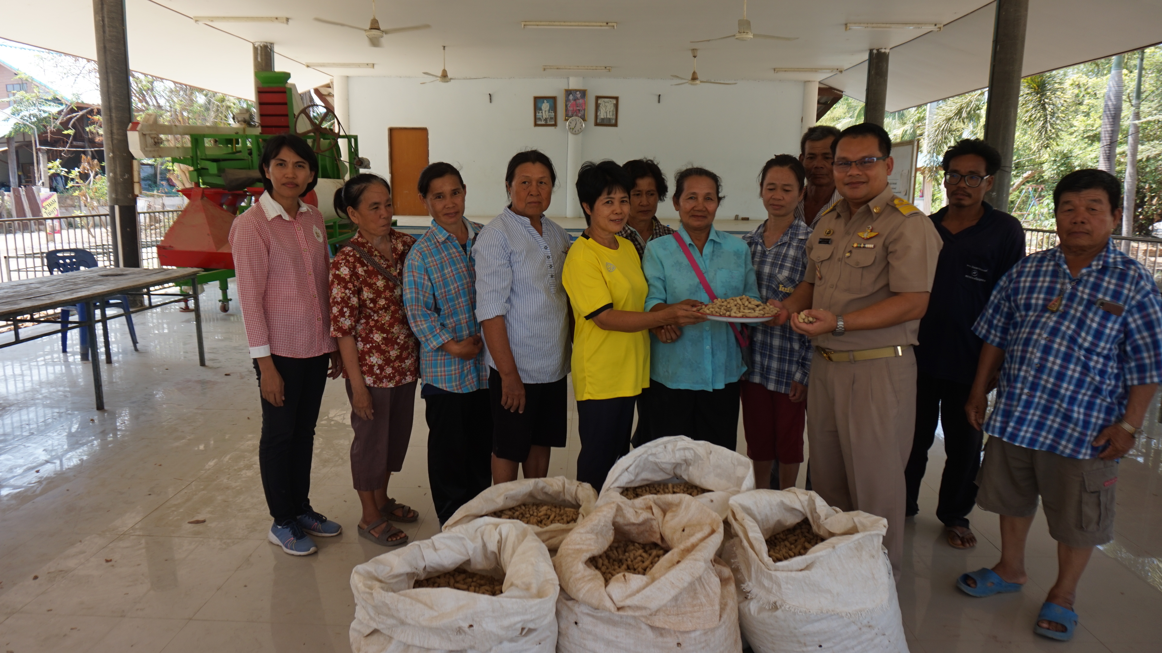 มอบปัจจัยการผลิตเมล็ดพันธ์ถั่วลิสง โครงการพัฒนาเกษตรกรปราดเปรื่อง กิจกรรมสร้างและพัฒนาเกษตรกรรุ่นใหม่