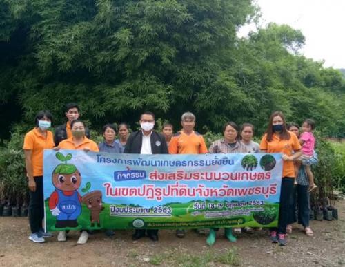 โครงการพัฒนาเกษตรกรรมยั่งยืน กิจกรรมส่งเสริมระบบวนเกษตร 