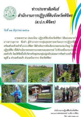 เกษตรแปลงใหญ่ในเขตปฏิรูปฯ ที่ได้นำนโยบายกระทรวงเกษตรและสหกรณ์ไปขับเคลื่อนจนประสบผลสำเร็จ