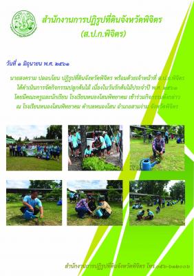 จัดกิจกรรมปลูกต้นไม้ เนื่องในวันรักต้นไม้ประจำปี 2561