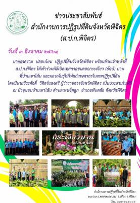 เทศกาลชมดอกกระเจียว (ยักษ์) บาน