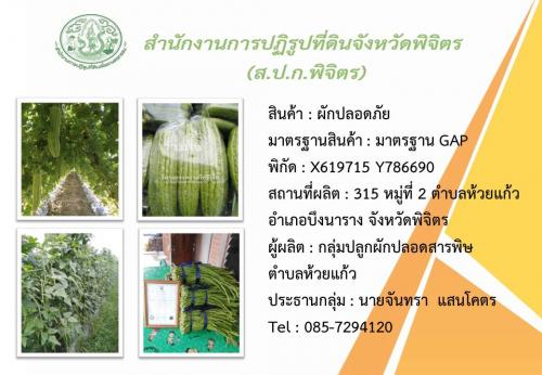 สินค้าโดนเด่นในเขตปฏิรูปที่ดิน (สินค้า : ผักปลอดภัย) ณ หมู่ 2 ตำบลห้วยแก้ว อำเภอบึงนาราง จังหวัดพิจิตร 