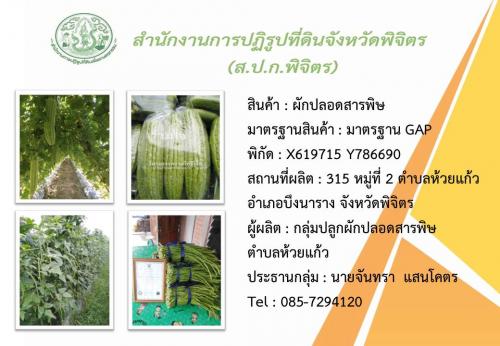 สินค้าเกษตรโดดเด่น (สินค้า : ผักปลอดสารพิษ) ณ หมู่ 2 ตำบลห้วยแก้ว อำเภอบึงนาราง จังหวัดพิจิตร