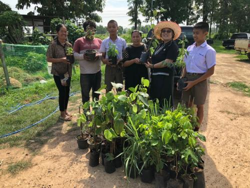 สนับสุนปัจจัยการผลิต (พันธุ์ไม้) โครงการส่งเสริมระบบวนเกษตรในเขตปฏิรูปที่ดิน ปีงบประมาณ 2562 ณ ตำบลทุ่งใหญ่ อำเภอโพธิ์ประทับช้าง จังหวัดพิจิตร