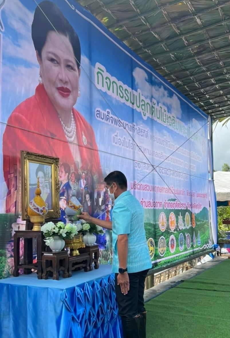 วันที่ 18 สิงหาคม 2565 นายเฉลิมชัย เฉลิมงาม นายช่างสำรวจอาวุโส รักษาราชการแทนปฏิรูปที่ดินจังหวัดพิษณุโลก มอบหมายให้นางจารุณี วรรณจำรัส ผู้อำนวยการกลุ่มยุทธศาสตร์และการปฏิรูปที่ดิน พร้อมด้วย เจ้าหน้าที่ ส.ป.ก.พิษณุโลก เข้าร่วมกิจกรรมปลูกต้นไม้เฉลิมพระเกียรติ สมเด็จพระนางเจ้าสิริกิติ์ พระบรมราชินีนาถ พระบรมราชชนนีพันปีหลวง เนื่องในโอกาสมหามงคลเฉลิมพระชนมพรรษา 90 พรรษา ๑๒ สิงหาคม ๒๕๖๕ จังหวัดพิษณุโลก
