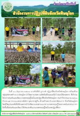 วันที่ 10 มิถุนายน 2563 นายศักดิ์ศิริ ธูปวงศ์ ปฏิรูปที่ดินจังหวัดพิษณุโลก พร้อมด้วย                 กลุ่มยุทธศาสตร์ฯ ส.ป.ก.พิษณุโลก นำวัสดุการเกษตร (เมล็ดพันธ์ผักและผลไม้) ไปมอบให้เกษตรกร  ที่เข้าร่วมโครงการส่งเสริมและพัฒนาเกษตรทฤษฎีใหม่ในเขตปฏิรูปที่ดินฯ