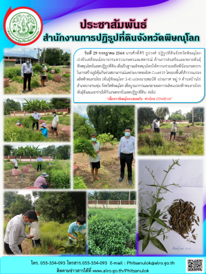 วันที่ 29 กรกฎาคม 2564 นายศักดิ์ศิริ ธูปวงศ์ ปฏิรูปที่ดินจังหวัดพิษณุโลก           เร่งขับเคลื่อนนโยบายกระทรวงเกษตรและสหกรณ์ ด้านการส่งเสริมและขยายพันธุ์พืชสมุนไพรในเขตปฏิรูปที่ดิน