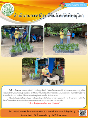 วันที่ 13 กันยายน 2564 นายศักดิ์ศิริ ธูปวงศ์ ปฏิรูปที่ดินจังหวัดพิษณุโลก มอบหมายให้ กลุ่มยุทธศาสตร์และการปฏิรูปที่ดิน               ส่งมอบต้นกล้าฟ้าทะลายโจรสายพันธุ์ดี (พิษณุโลก 5-4)  ให้กับเกษตรกรในเขตปฏิรูปที่ดินจังหวัดพิษณุโลก ต.วังนกแอ่น อ.วังทอง 
