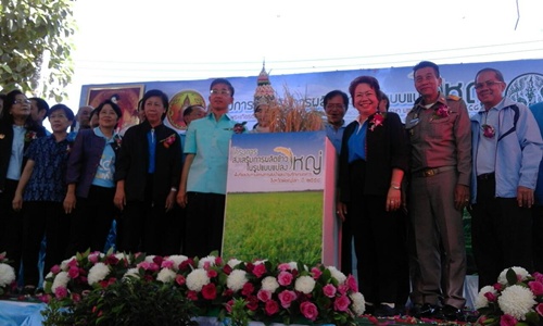 ร่วมเปิดโครงการส่งเสริมการผลิตข้าวในรูปแบบแปลงใหญ่  