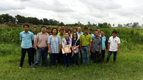ศึกษาดูงานโครงการส่งเสริมการผลิตข้าวโพดเลี้ยงสัตว์ 