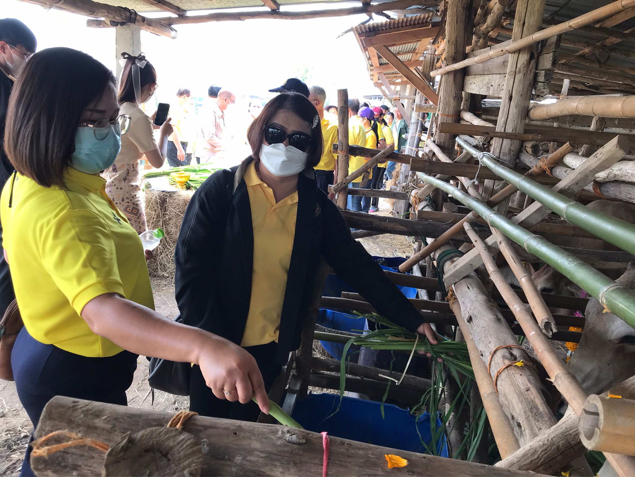 ส.ป.ก.แพร่ ร่วมเป็นเกียรติในพิธีมอบโค โครงการประชารัฐพัฒนาอาชีพ การเลี้ยงโคเนื้อ ภายใต้โครงการธนาคาร โค-กระบือเพื่อเกษตรกร ตามพระราชดำริ
