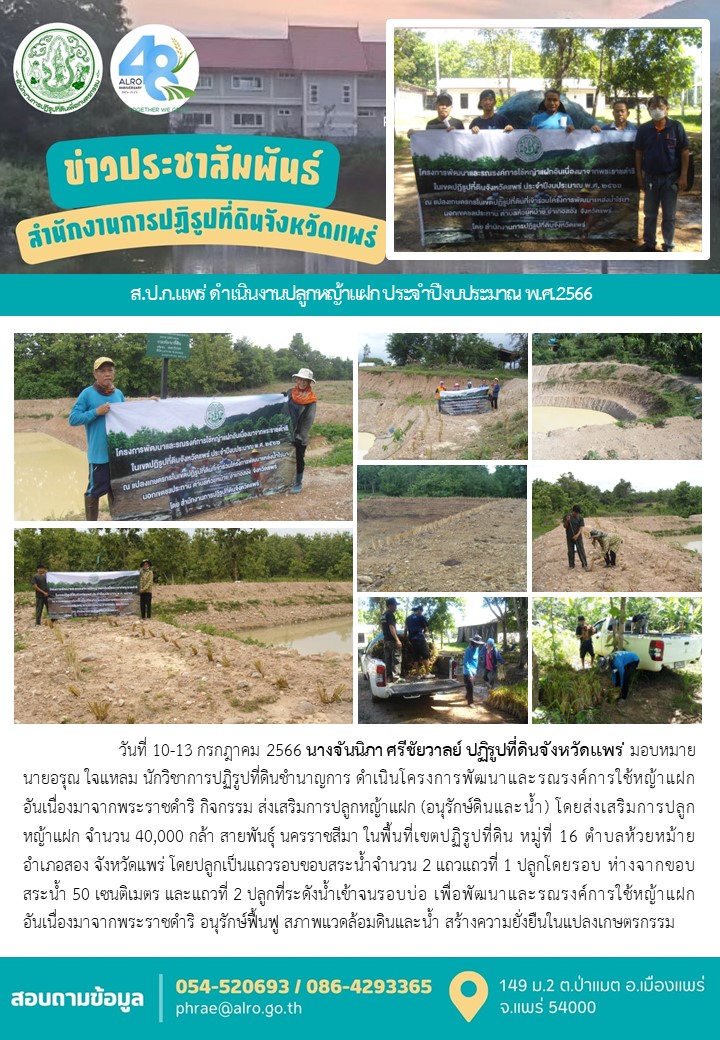ส.ป.ก.แพร่ ดำเนินงานปลูกหญ้าแฝก ประจำปีงบประมาณ พ.ศ.2566