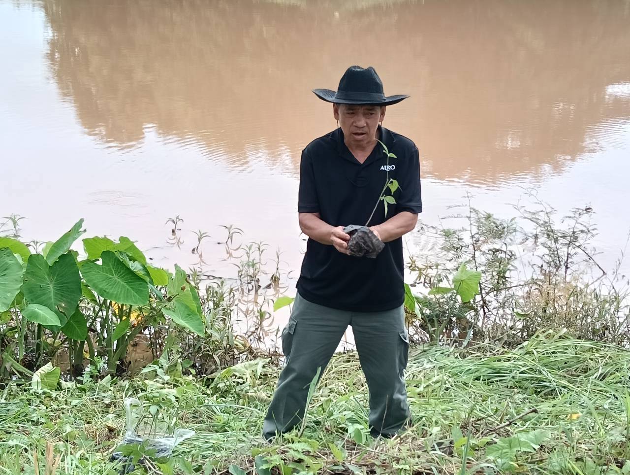 title - ส.ป.ก. แพร่ จัดกิจกรรมปลูกป่าสร้างพื้นที่สีเขียวในเขตปฏิรูปที่ดิน เฉลิมพระเกียรติสมเด็จพระบรมราชชนนีพันปีหลวง