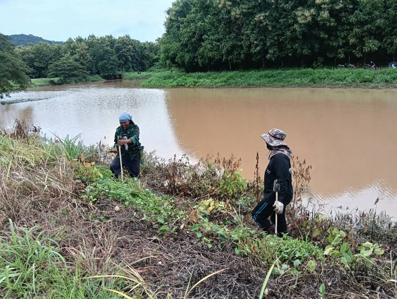 title - ส.ป.ก. แพร่ จัดกิจกรรมปลูกป่าสร้างพื้นที่สีเขียวในเขตปฏิรูปที่ดิน เฉลิมพระเกียรติสมเด็จพระบรมราชชนนีพันปีหลวง