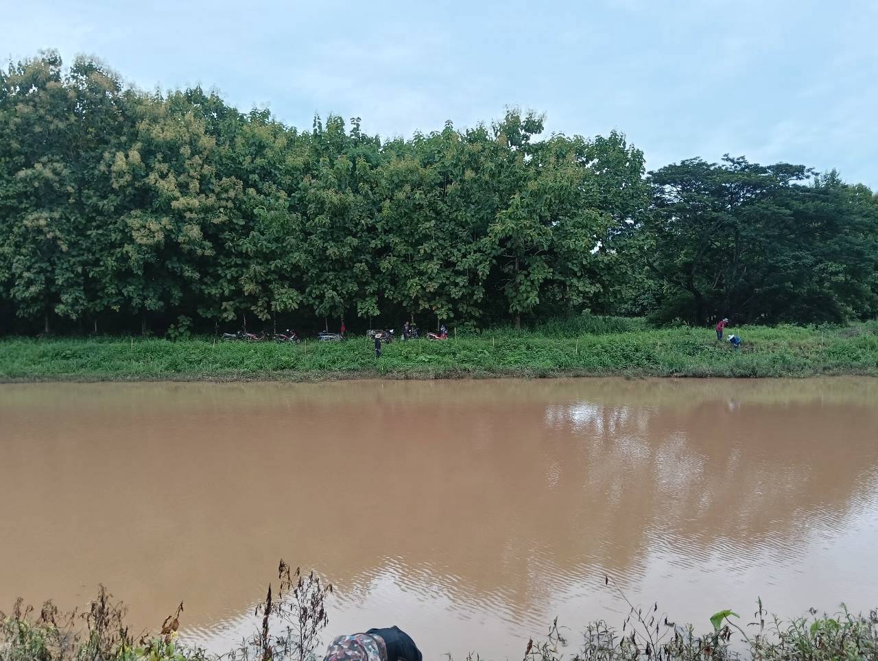 title - ส.ป.ก. แพร่ จัดกิจกรรมปลูกป่าสร้างพื้นที่สีเขียวในเขตปฏิรูปที่ดิน เฉลิมพระเกียรติสมเด็จพระบรมราชชนนีพันปีหลวง
