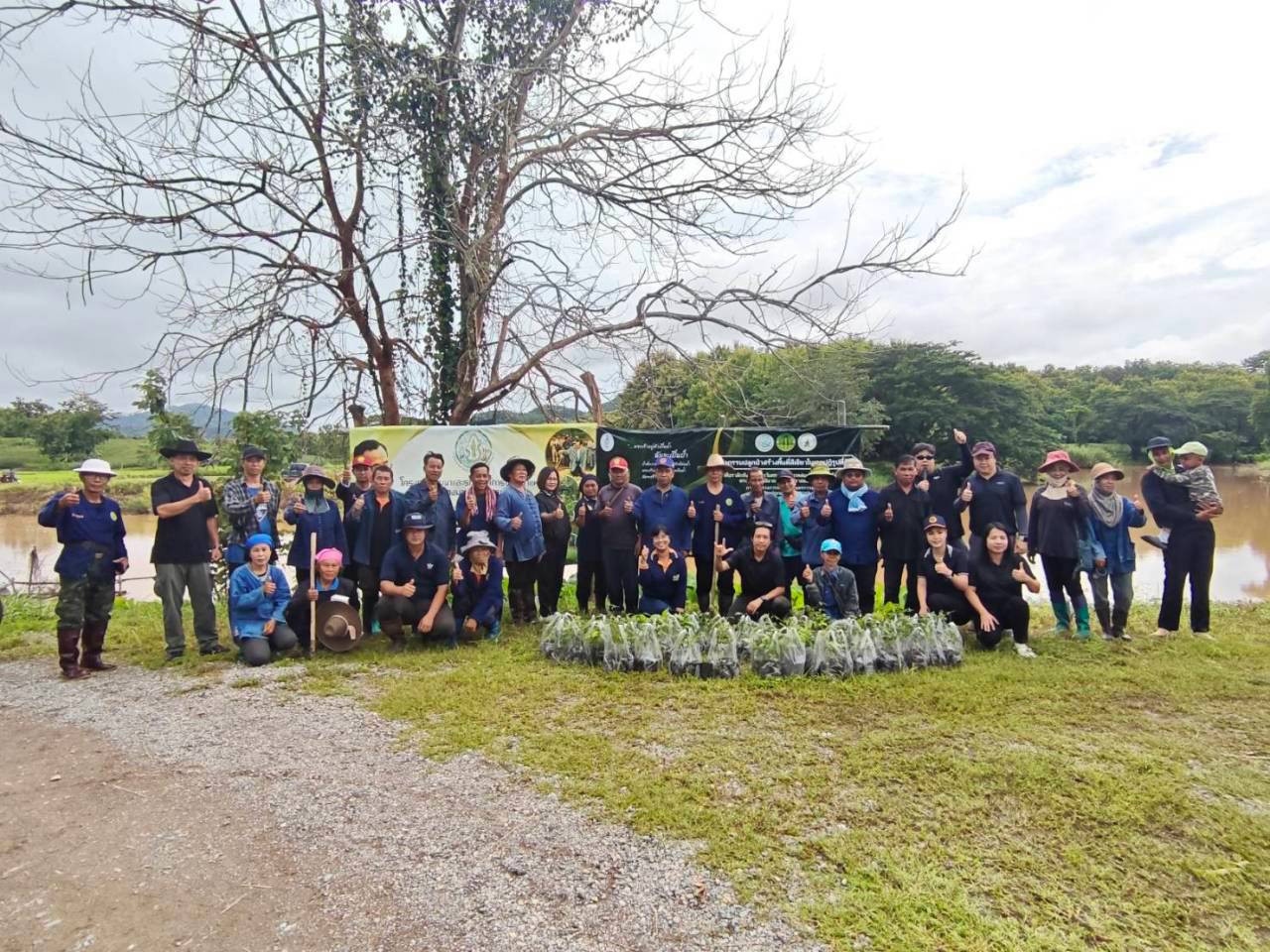 title - ส.ป.ก. แพร่ จัดกิจกรรมปลูกป่าสร้างพื้นที่สีเขียวในเขตปฏิรูปที่ดิน เฉลิมพระเกียรติสมเด็จพระบรมราชชนนีพันปีหลวง