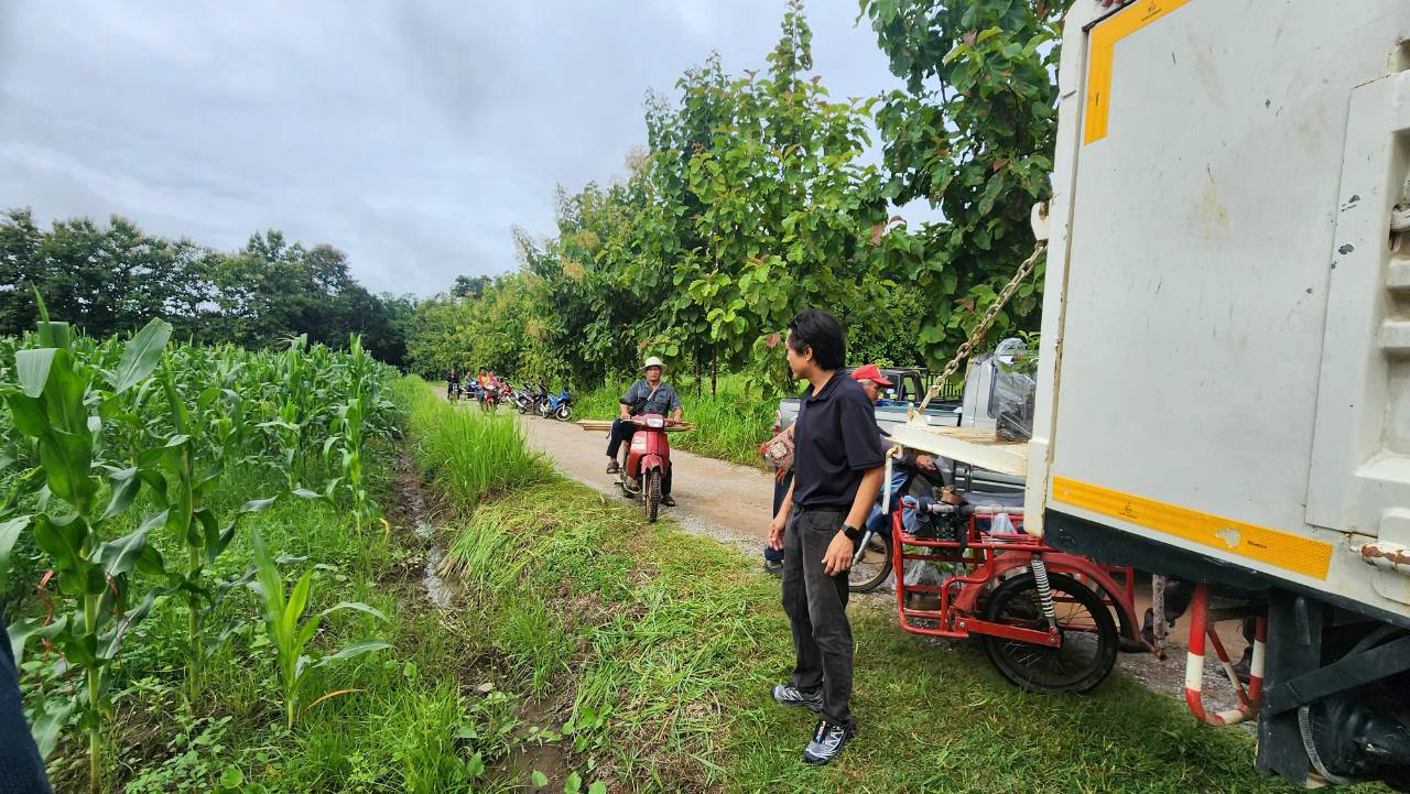 title - ส.ป.ก. แพร่ จัดกิจกรรมปลูกป่าสร้างพื้นที่สีเขียวในเขตปฏิรูปที่ดิน เฉลิมพระเกียรติสมเด็จพระบรมราชชนนีพันปีหลวง