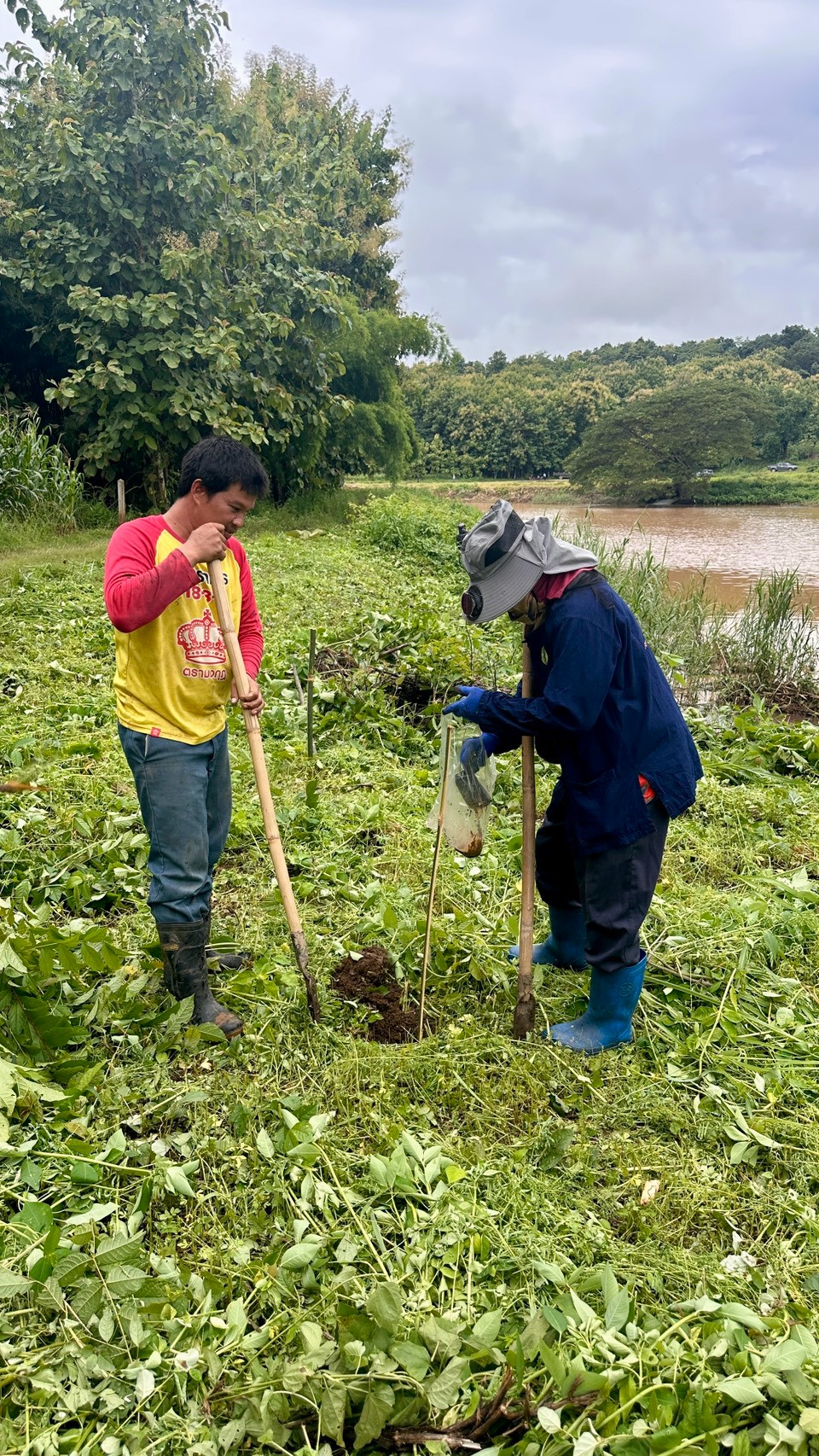 title - ส.ป.ก. แพร่ จัดกิจกรรมปลูกป่าสร้างพื้นที่สีเขียวในเขตปฏิรูปที่ดิน เฉลิมพระเกียรติสมเด็จพระบรมราชชนนีพันปีหลวง