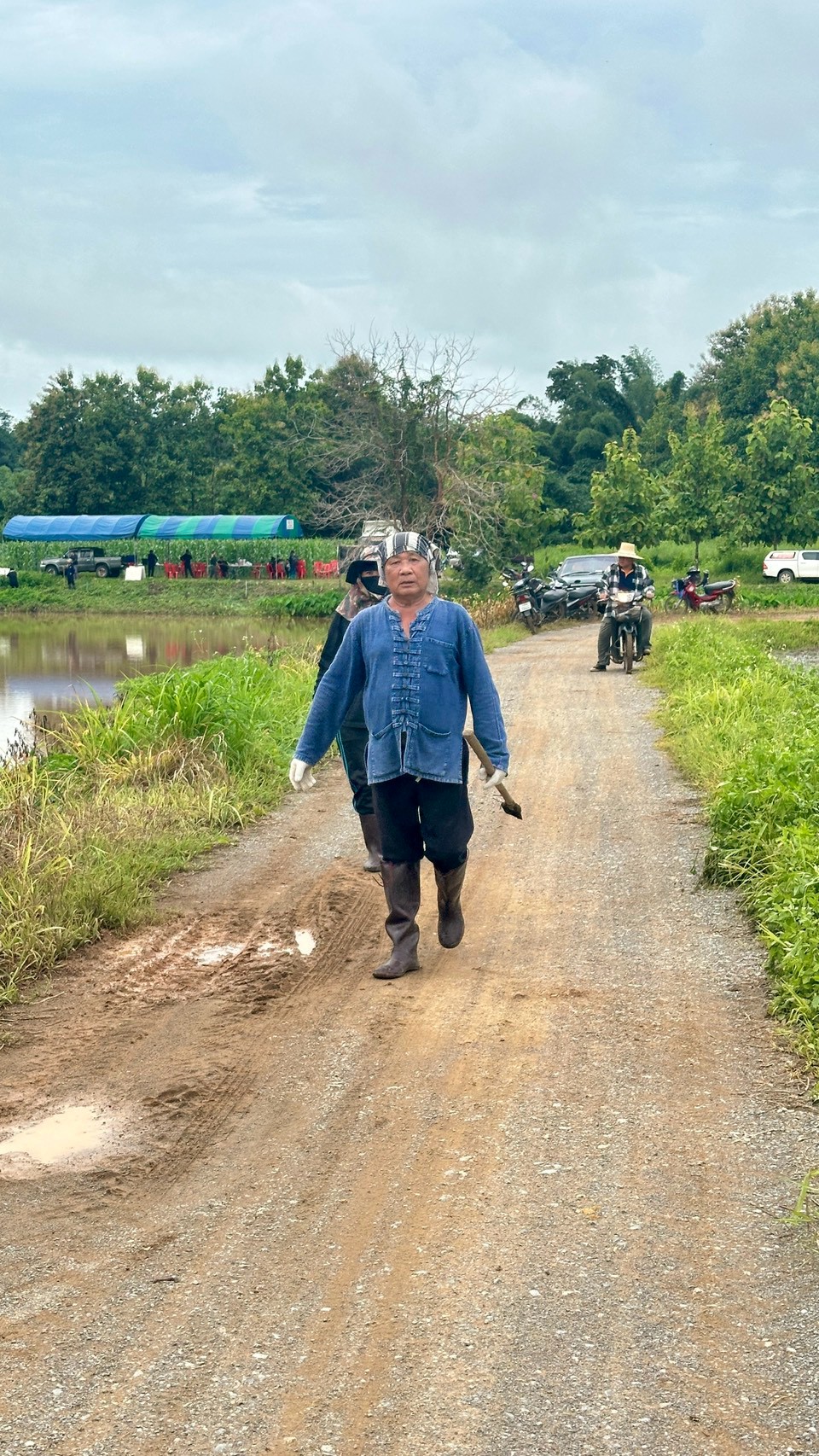 title - ส.ป.ก. แพร่ จัดกิจกรรมปลูกป่าสร้างพื้นที่สีเขียวในเขตปฏิรูปที่ดิน เฉลิมพระเกียรติสมเด็จพระบรมราชชนนีพันปีหลวง