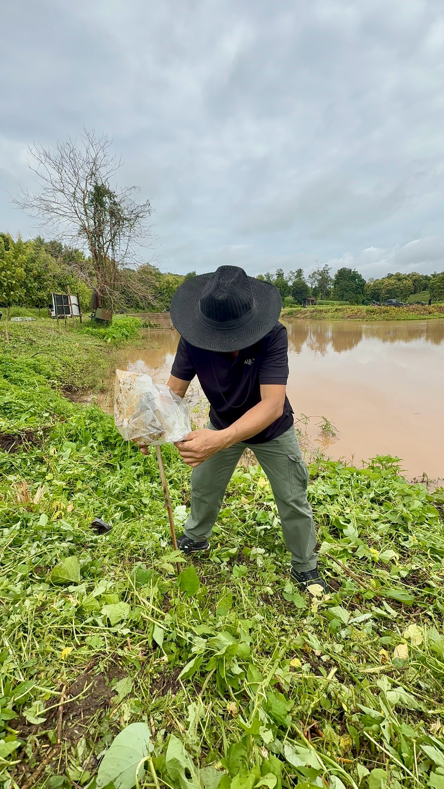 title - ส.ป.ก. แพร่ จัดกิจกรรมปลูกป่าสร้างพื้นที่สีเขียวในเขตปฏิรูปที่ดิน เฉลิมพระเกียรติสมเด็จพระบรมราชชนนีพันปีหลวง