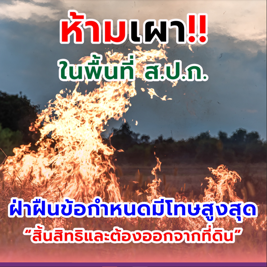 กำหนดหน้าที่ให้เกษตรกรปฏิบัติเกี่ยวกับการเผาที่เกษตรในเขตปฏิรูปที่ดิน