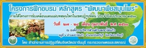 โครงการฝึกอบรม หลักสูตร พัฒนาพืชสมุนไพร