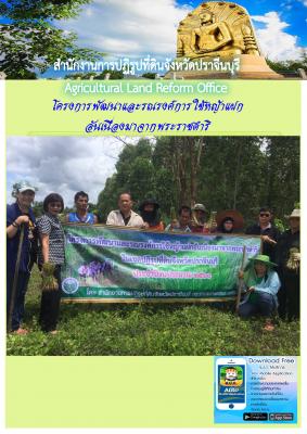 โครงการพัฒนาและรณรงค์การใช้หญ้าแฝกอันเนื่องมาจากพระราชดำริ ในเขตปฏิรูปที่ดินจังหวัดปราจีนบุรี