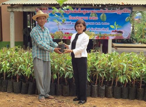โครงการปลูกไม้เศรษฐกิจเพื่อฟืนฟูสภาพแวดล้อมในเขตปฏิรุปที่ดิน