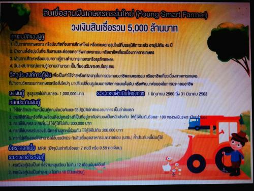 โครงการสินเชื่อสานฝันเกษตรกรรุ่นใหม่ (Young Smart Farmer)