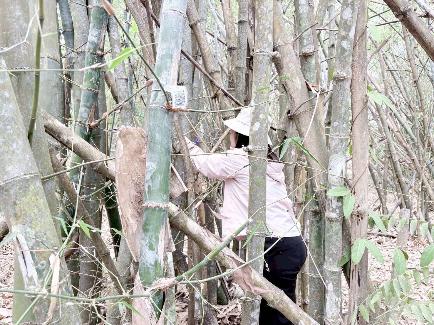 title - ศทส. จัดทำฐานข้อมูลลักษณะจำเพาะของต้นไม้ที่นำไปใช้ในการประเมินมูลค่าต้นไม้ในเขตปฏิรูปที่ดิน ร่วมกับสำนักพัฒนาและถ่ายทอดเทคโนโลยี (สพท.)