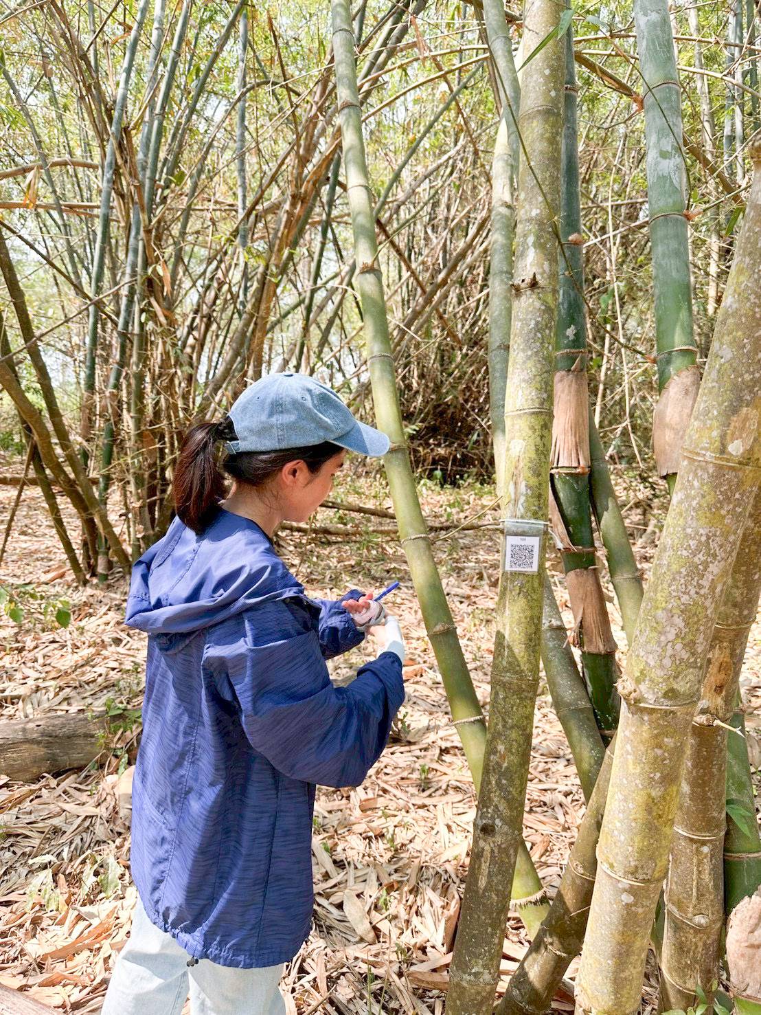 title - ศทส. จัดทำฐานข้อมูลลักษณะจำเพาะของต้นไม้ที่นำไปใช้ในการประเมินมูลค่าต้นไม้ในเขตปฏิรูปที่ดิน ร่วมกับสำนักพัฒนาและถ่ายทอดเทคโนโลยี (สพท.)