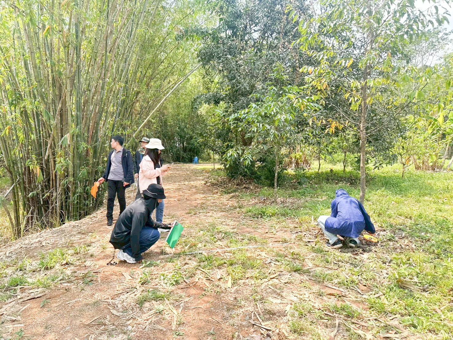 title - ศทส. จัดทำฐานข้อมูลลักษณะจำเพาะของต้นไม้ที่นำไปใช้ในการประเมินมูลค่าต้นไม้ในเขตปฏิรูปที่ดิน ร่วมกับสำนักพัฒนาและถ่ายทอดเทคโนโลยี (สพท.)