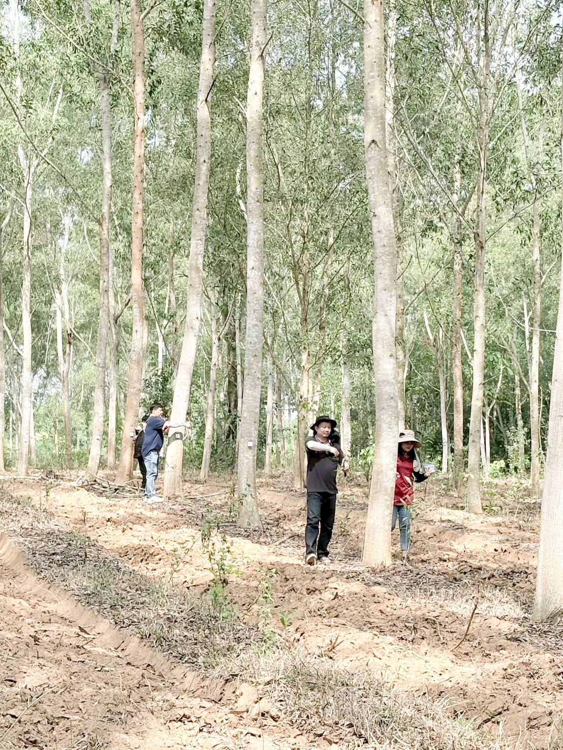 title - ศทส. จัดทำฐานข้อมูลลักษณะจำเพาะของต้นไม้ที่นำไปใช้ในการประเมินมูลค่าต้นไม้ในเขตปฏิรูปที่ดิน ร่วมกับสำนักพัฒนาและถ่ายทอดเทคโนโลยี (สพท.)