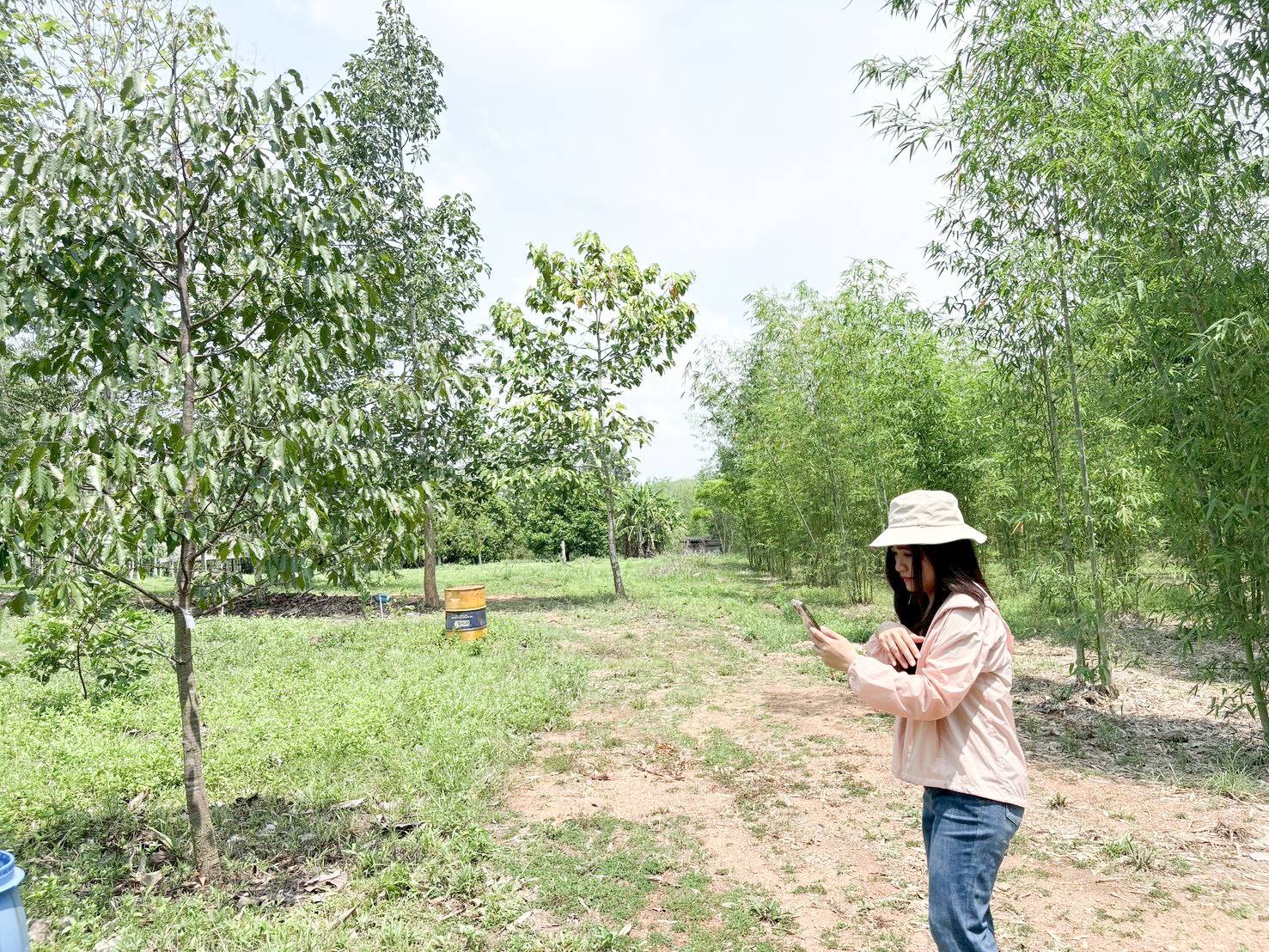 title - ศทส. จัดทำฐานข้อมูลลักษณะจำเพาะของต้นไม้ที่นำไปใช้ในการประเมินมูลค่าต้นไม้ในเขตปฏิรูปที่ดิน ร่วมกับสำนักพัฒนาและถ่ายทอดเทคโนโลยี (สพท.)