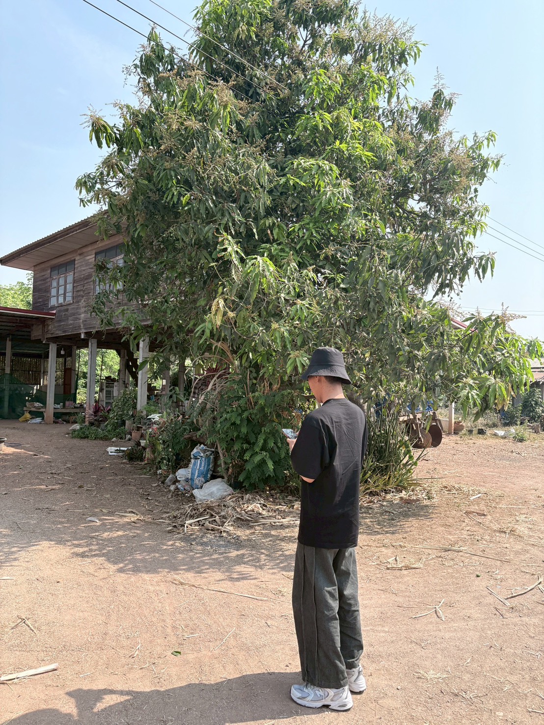 title - ศทส. ลงพื้นที่จัดทำฐานข้อมูลเชิงพื้นที่การใช้ประโยชน์อาคาร และสิ่งปลูกสร้างในเขตปฏิรูปที่ดิน จัดเก็บข้อมูลภาคสนามผ่าน Application Fieldmap และประชาสัมพันธ์การใช้งานระบบ GIS Portal ณ จังหวัดเลย 