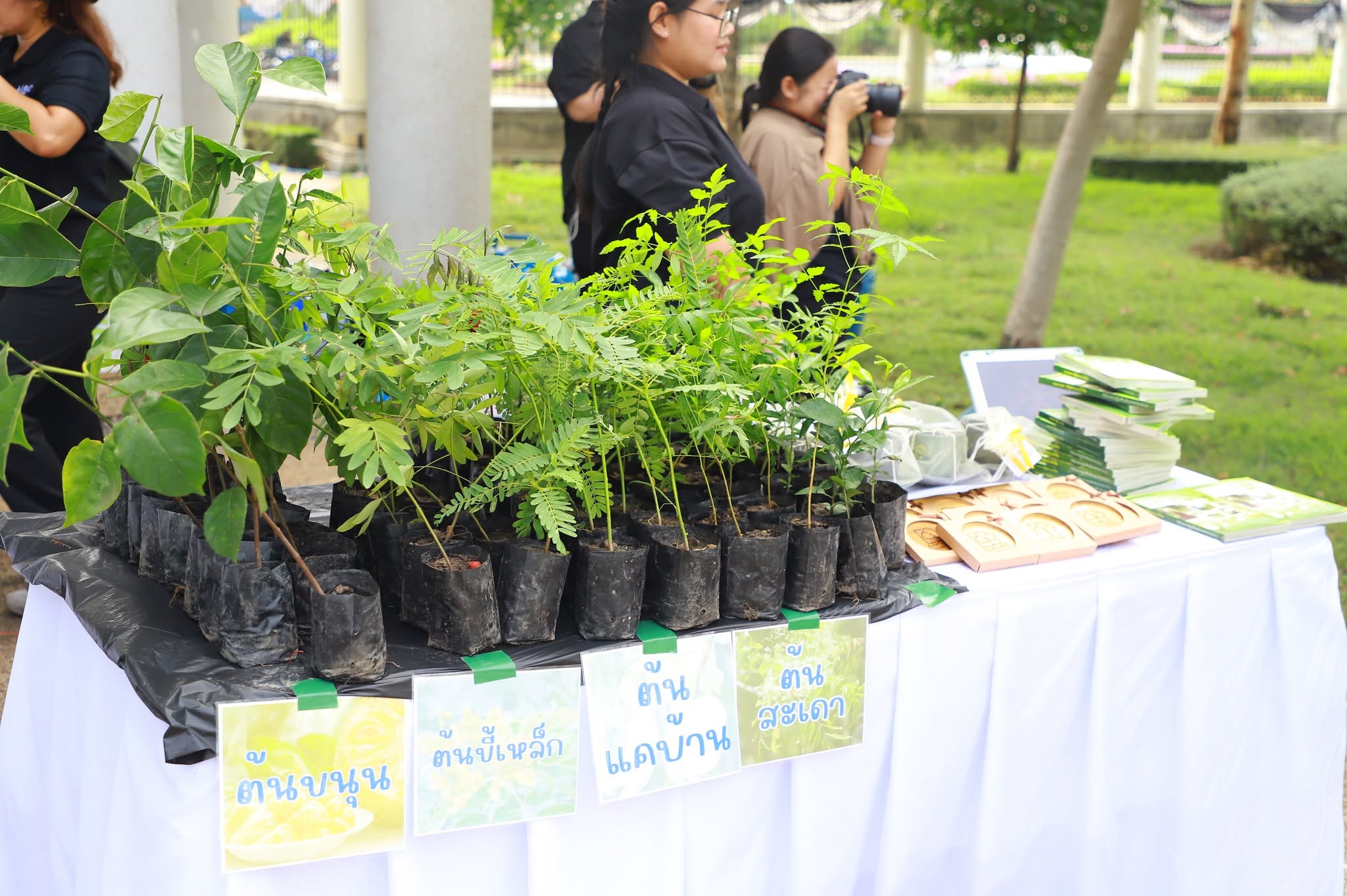 title - ศทส. เข้าร่วมกิจกรรมวันต้นไม้ ประจำปีของชาติ 2569