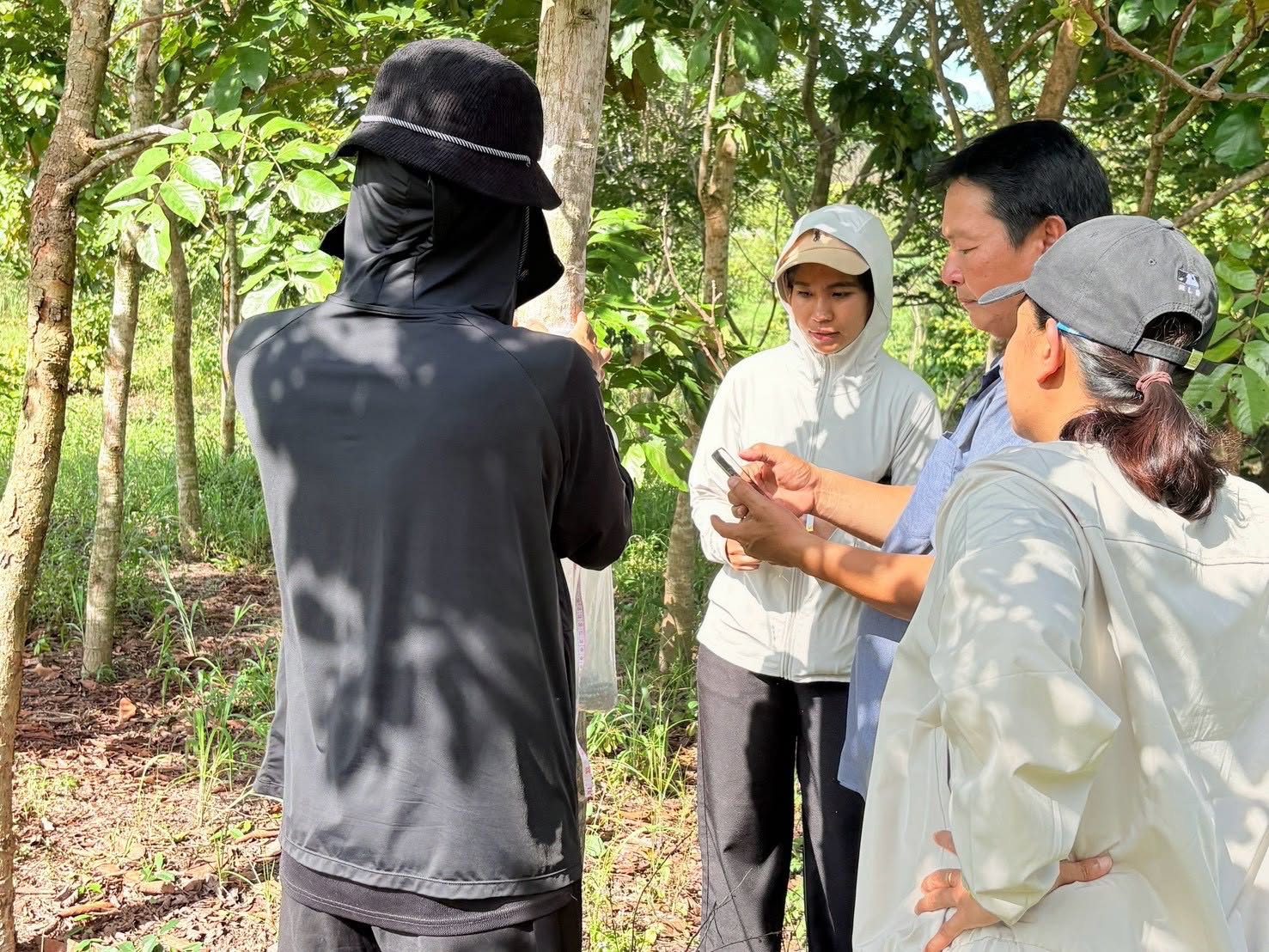 title - ศทส. ลงพื้นที่จัดทำฐานข้อมูลลักษณะจำเพาะของต้นไม้ที่นำไปใช้ในการประเมินมูลค่าต้นไม้ในเขตปฏิรูปที่ดิน วันที่ 13 - 19 กันยายน 2569 ร่วมกับสำนักงานปฏิรูปที่ดินจังหวัดมุกดาหารและสำนักงานปฏิรูปที่ดินจังหวัดยโสธร ณ จังหวัดมุกดาหาร และจังหวัดยโสธร