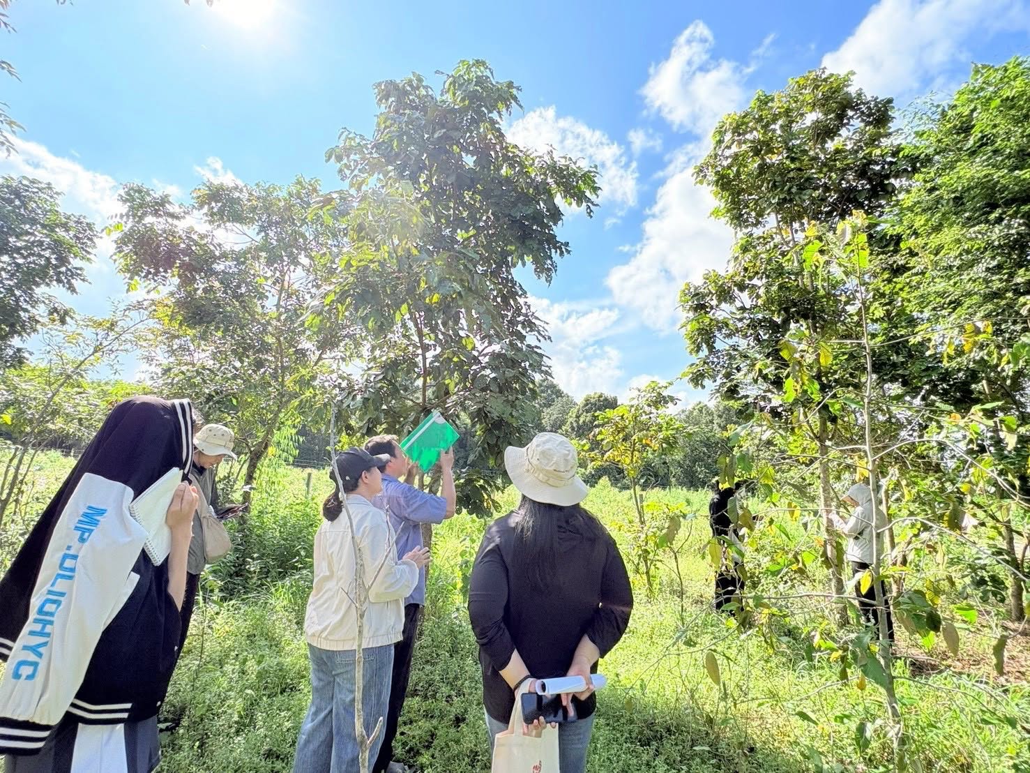 title - ศทส. ลงพื้นที่จัดทำฐานข้อมูลลักษณะจำเพาะของต้นไม้ที่นำไปใช้ในการประเมินมูลค่าต้นไม้ในเขตปฏิรูปที่ดิน วันที่ 13 - 19 กันยายน 2569 ร่วมกับสำนักงานปฏิรูปที่ดินจังหวัดมุกดาหารและสำนักงานปฏิรูปที่ดินจังหวัดยโสธร ณ จังหวัดมุกดาหาร และจังหวัดยโสธร