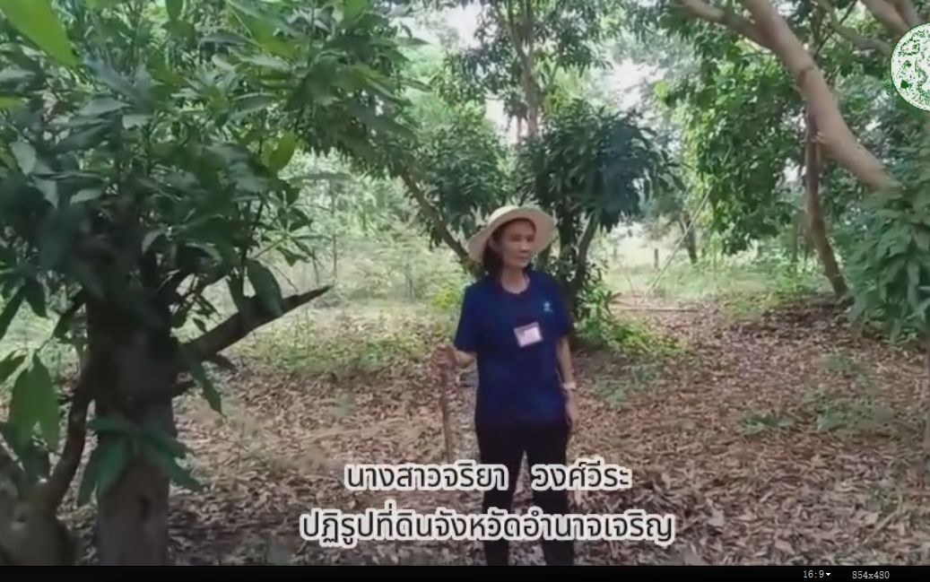 ส.ป.ก.อำนาจเจริญ จัดกิจกรรมการทำปุ๋ยหมักและการปลูกผักในสำนักงาน