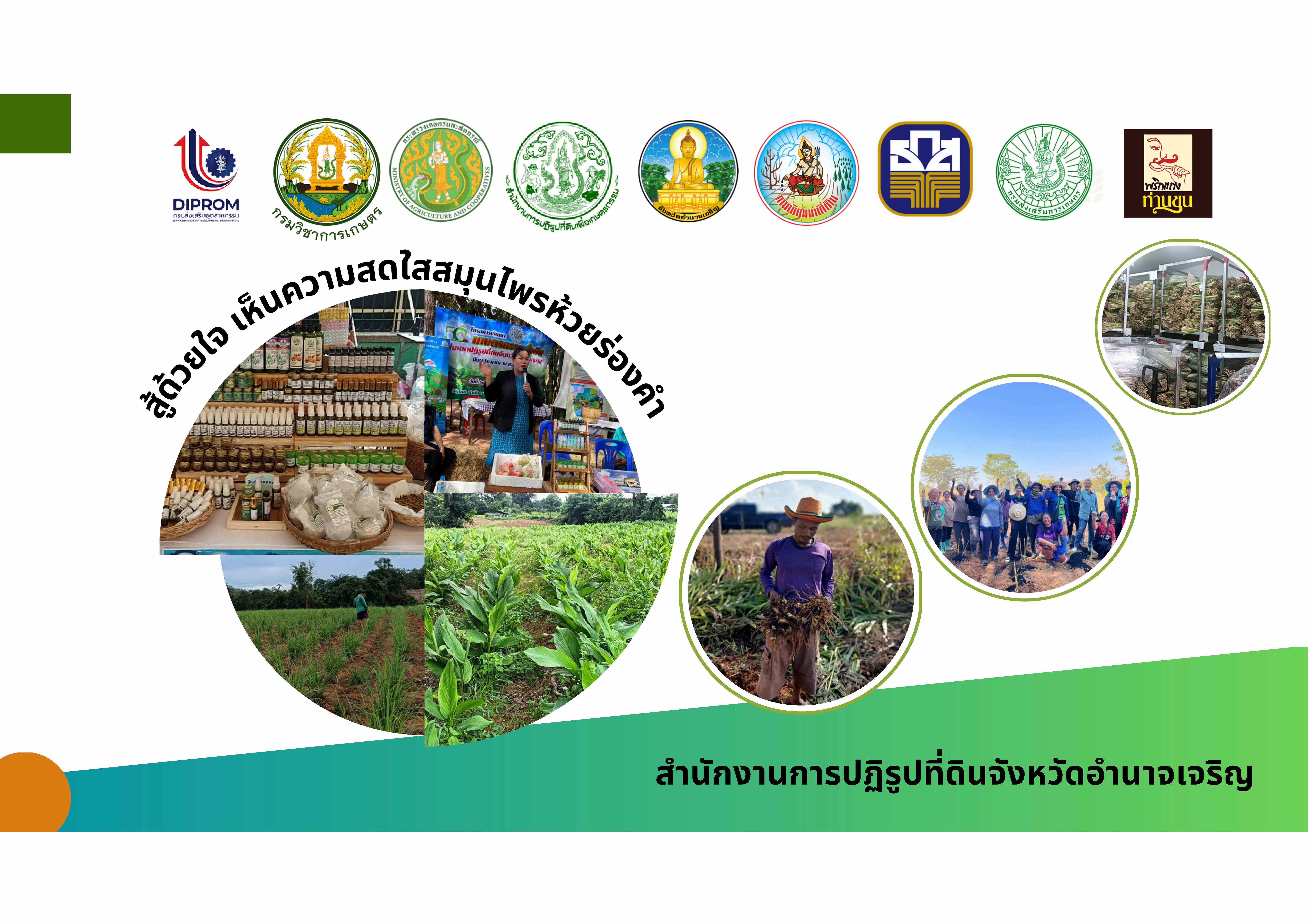 สู้ด้วยใจ เห็นความสดใสสมุนไพรห้วยร่องคำ ส.ป.ก.อำนาจเจริญ (ผลงานที่โดดเด่น)