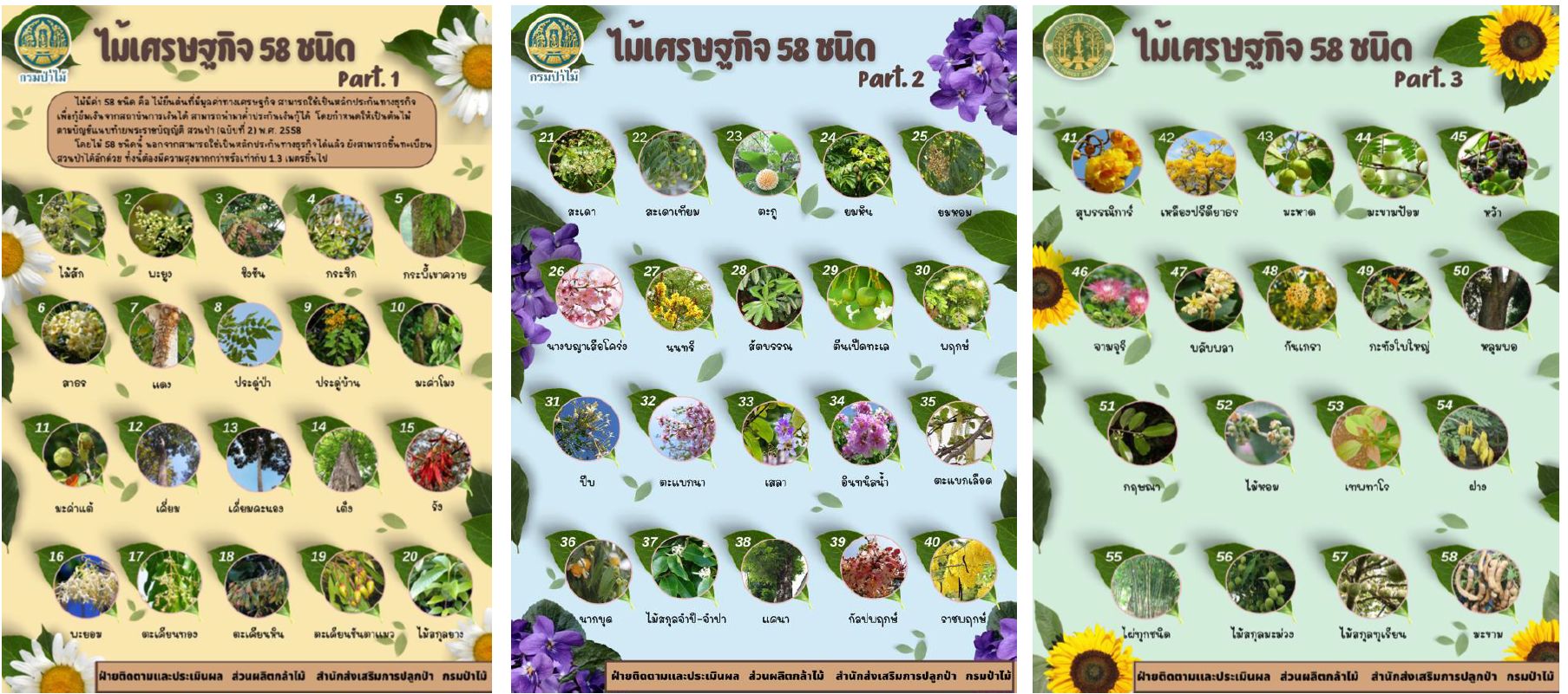โฉนดต้นไม้ในเขตปฏิรูปที่ดิน
