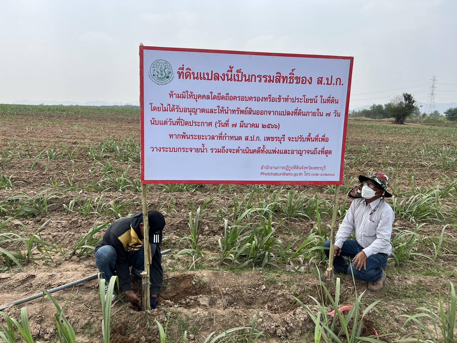 ส.ป.ก. เพชรบุรี ดำเนินการปักป้ายแสดงแนวเขตแปลงที่ดินกรรมสิทธิ์ของ ส.ป.ก. 