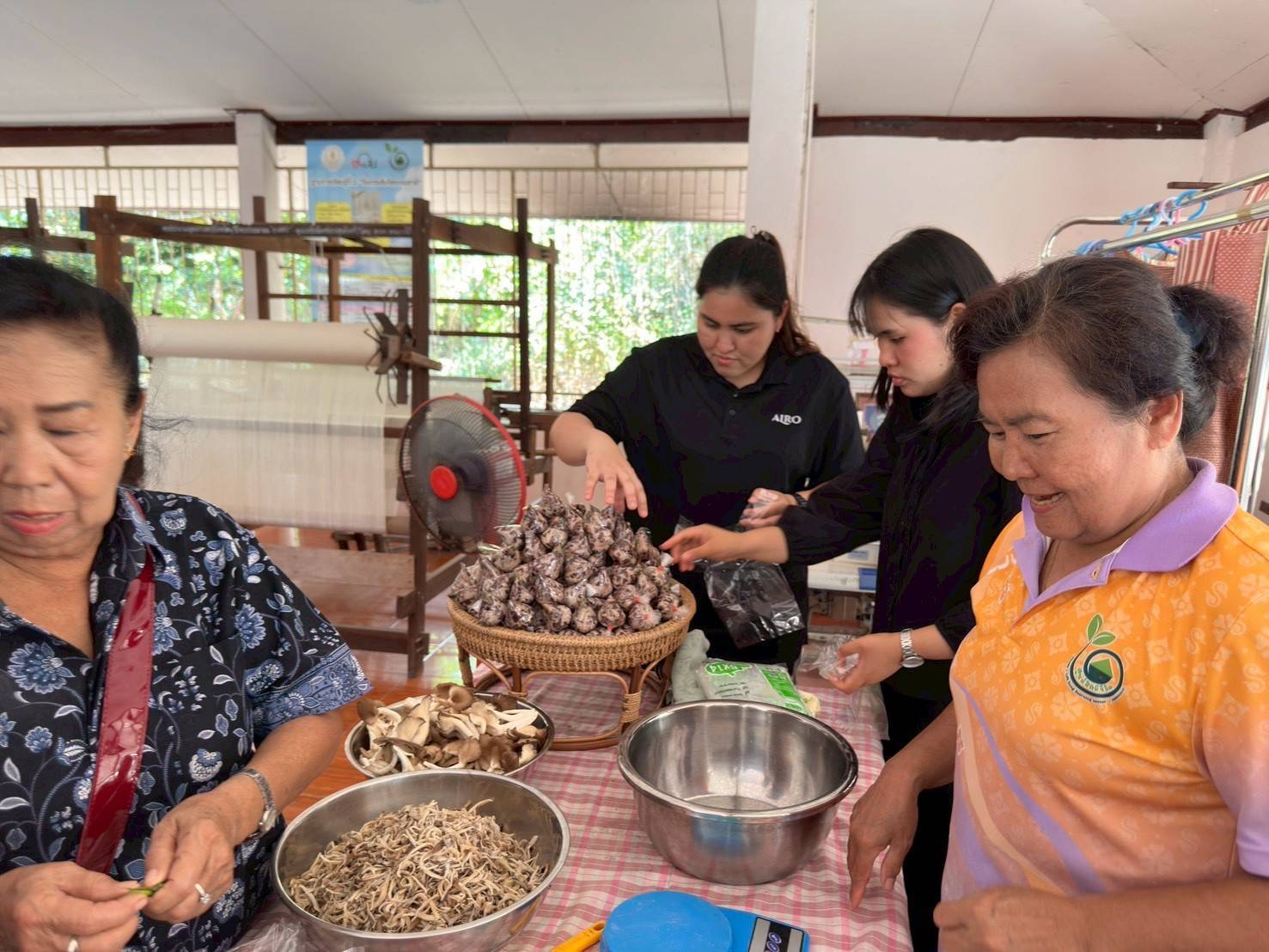 title - ส.ป.ก.พระนครศรีอยุธยา จัดอบรมตาม ตามโครงการพัฒนาธุรกิจชุมชน กิจกรรรมพัฒนาธุรกิจชุมชนในเขตปฏิรูปที่ดิน ปีงบประมาณ พ.ศ. ๒๕๖๙ หลักสูตรการเพิ่มมูลค่าสินค้าและการพัฒนาช่องทางด้านการตลาด 