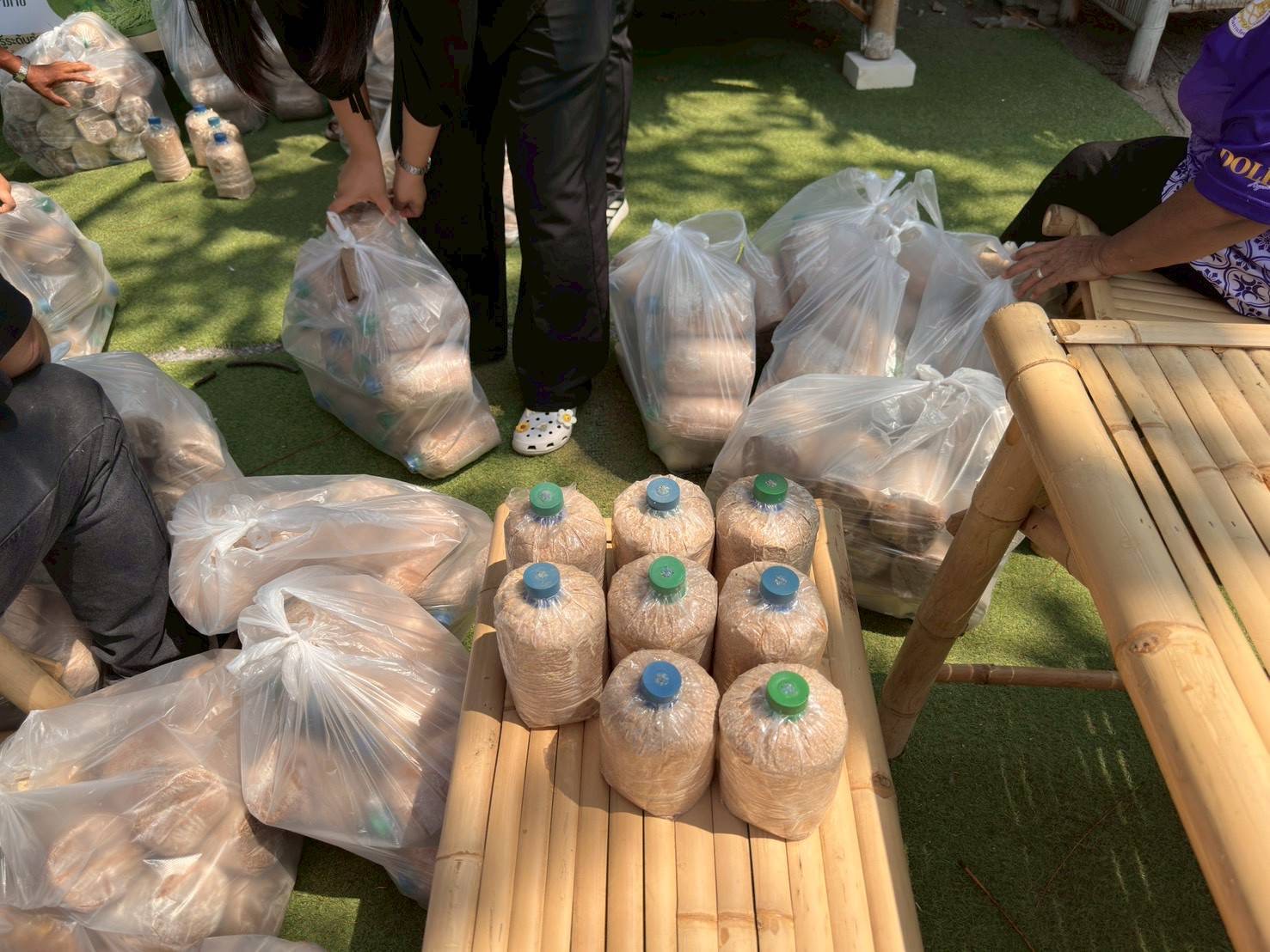 title - ส.ป.ก.พระนครศรีอยุธยา จัดอบรมตาม ตามโครงการพัฒนาธุรกิจชุมชน กิจกรรรมพัฒนาธุรกิจชุมชนในเขตปฏิรูปที่ดิน ปีงบประมาณ พ.ศ. ๒๕๖๙ หลักสูตรการเพิ่มมูลค่าสินค้าและการพัฒนาช่องทางด้านการตลาด 