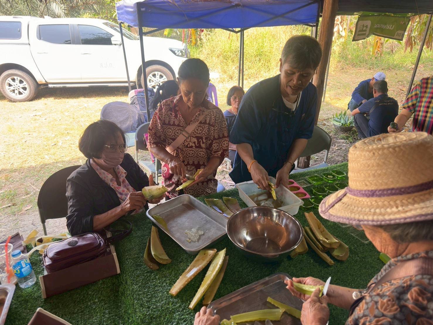 title - ส.ป.ก.พระนครศรีอยุธยา จัดฝึกอบรมตามโครงการพัฒนาธุรกิจชุมชน กิจกรรรมพัฒนาธุรกิจชุมชนในเขตปฏิรูปที่ดิน ปีงบประมาณ พ.ศ. ๒๕๖๙ หลักสูตรความเข้มแข็งของสหกรณ์