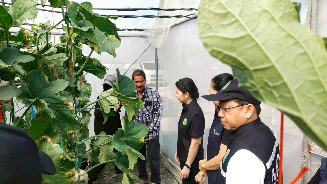 title - ปฏิรูปที่ดินจังหวัดพระนครศรีอยุธยา เข้าร่วมตืดตาม ผู้ตรวจราชการกระทรวงเกษตรและสหกรณ์ ลงพื้นที่ติดตามงานนโยบายกระทรวงเกษตรและสหกรณ์ ณ ที่ทำการวิสาหกิจชุมชนเมล่อนหมู่ใหญ่ร่วมใจพัฒนา ตำบลคู้สลอด อำเภอลาดบัวหลวง จังหวัดพระนครศรีอยุธยา