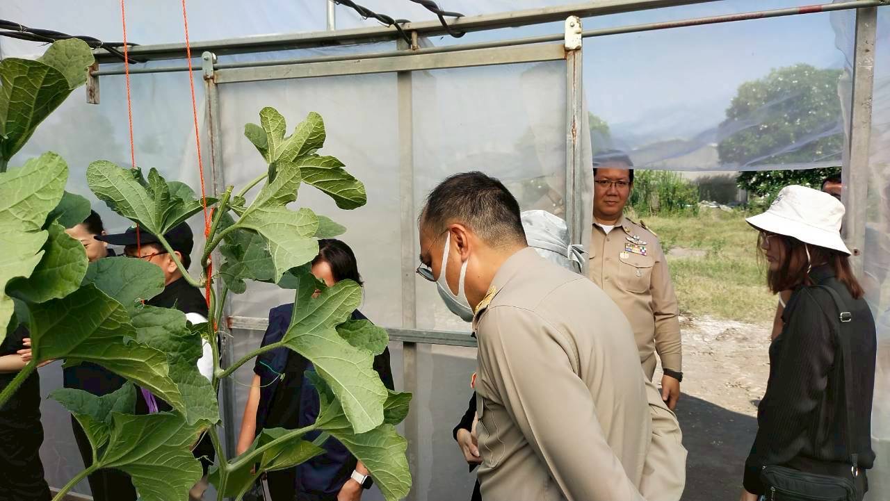 title - ปฏิรูปที่ดินจังหวัดพระนครศรีอยุธยา เข้าร่วมตืดตาม ผู้ตรวจราชการกระทรวงเกษตรและสหกรณ์ ลงพื้นที่ติดตามงานนโยบายกระทรวงเกษตรและสหกรณ์ ณ ที่ทำการวิสาหกิจชุมชนเมล่อนหมู่ใหญ่ร่วมใจพัฒนา ตำบลคู้สลอด อำเภอลาดบัวหลวง จังหวัดพระนครศรีอยุธยา