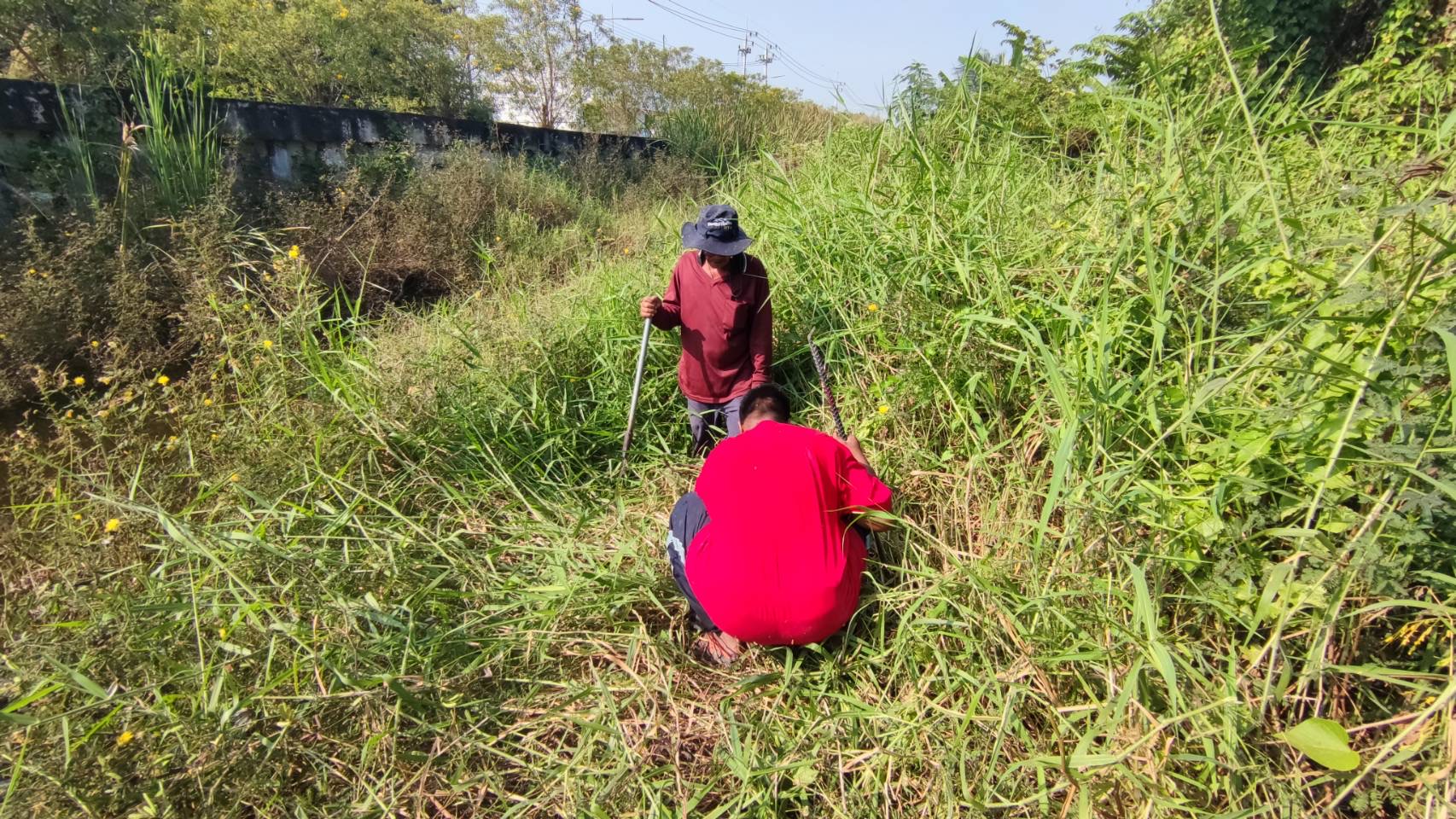 title - ส.ป.ก.พระนครศรีอยุธยา ลงพื้นที่รังวัดสอบเขตกรณีวิทยาลัยเกษตรและเทคโนโลยีศูนย์ศิลปาชีพบางไทรขออนุญาติใช้ที่ดินในเขตปฏิรูปที่ดิน เพื่อก่อสร้างสถานที่ราชการ