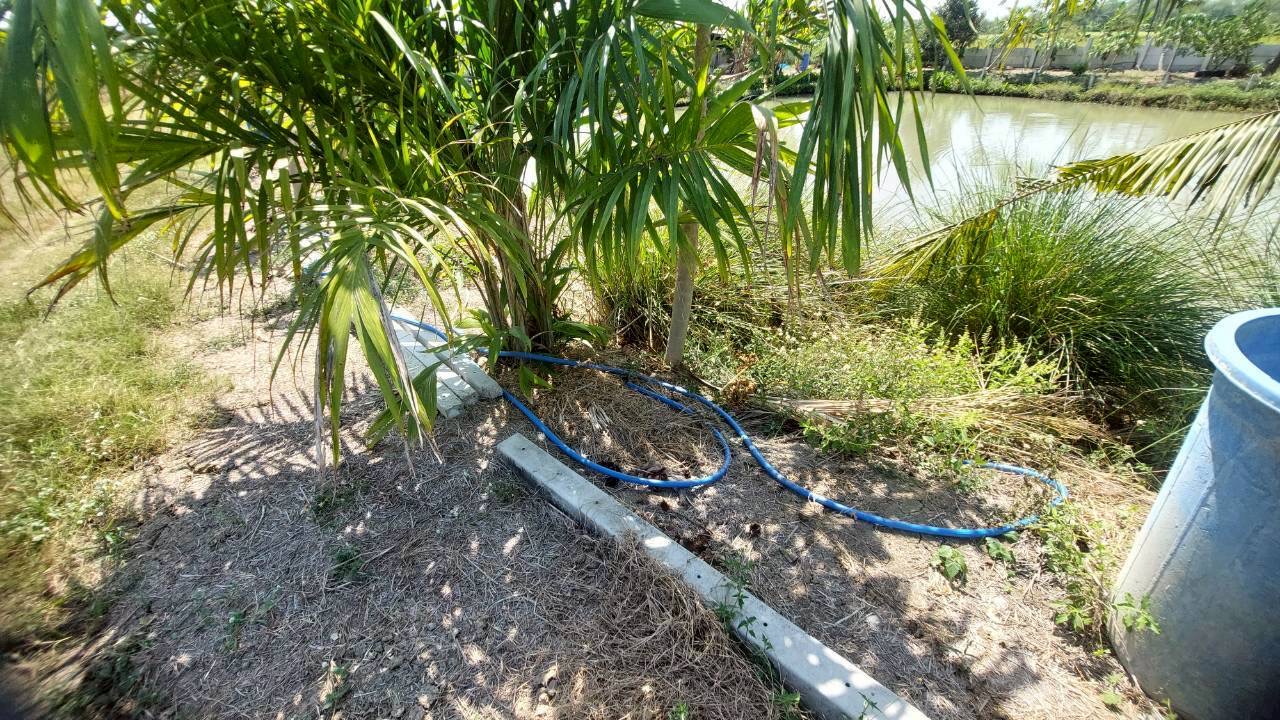 title - ส.ป.ก.พระนครศรีอยุธยา จัดฝึกอบรมโครงการลดการวัสดุเหลือใช้ทางการเกษตรในเขตปฏิรูปที่ดิน  กิจกรรมลดการเผาวัสดุเหลือใช้ ทางการเกษตรในเขตปฏิรูปที่ดิน ปีงบประมาณ พ.ศ. ๒๕๖๙ หลักสูตร แนวทางการลดการเผาไหม้ในเขตปฏิรูปที่ดิน