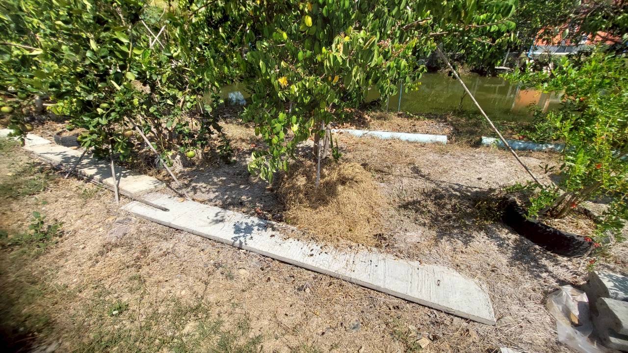 title - ส.ป.ก.พระนครศรีอยุธยา จัดฝึกอบรมโครงการลดการวัสดุเหลือใช้ทางการเกษตรในเขตปฏิรูปที่ดิน  กิจกรรมลดการเผาวัสดุเหลือใช้ ทางการเกษตรในเขตปฏิรูปที่ดิน ปีงบประมาณ พ.ศ. ๒๕๖๙ หลักสูตร แนวทางการลดการเผาไหม้ในเขตปฏิรูปที่ดิน